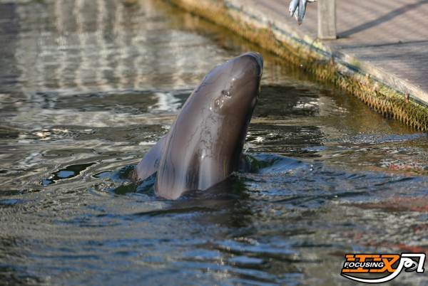 d1accb1b12aef299ee0ae213e14c4da5