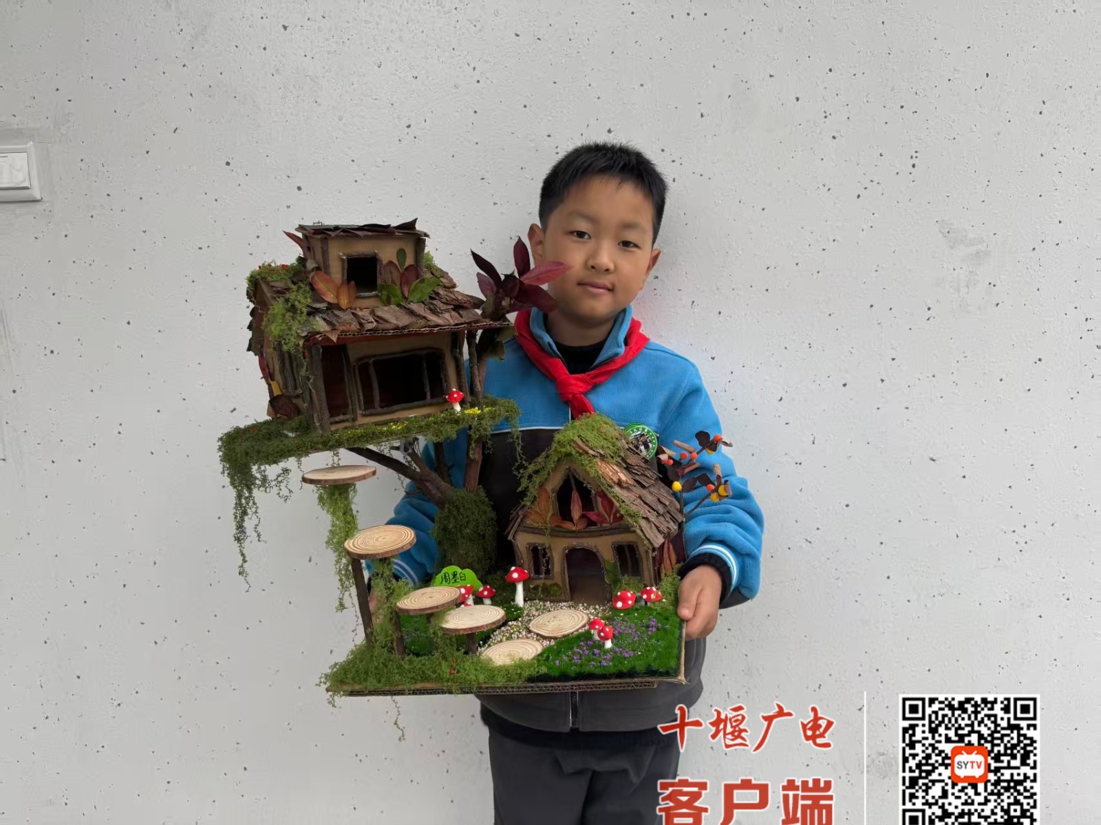 2fc20a8700f7e6bfb33fd346376c60c2