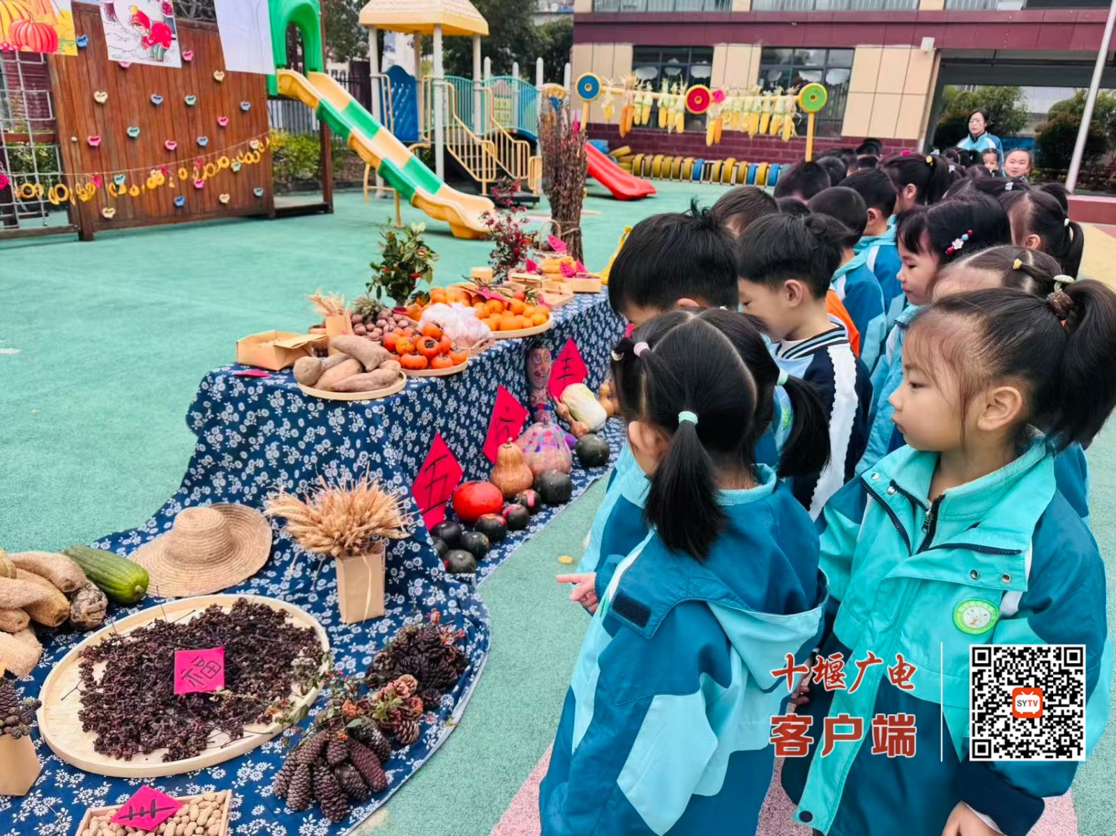 67b36599980fdf2cf9f14c63dfe438d2