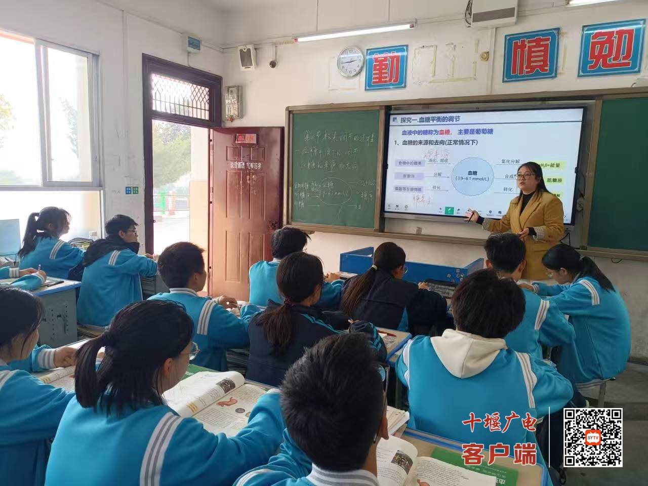 134d74be6c125b0f5b1c47c57292c598