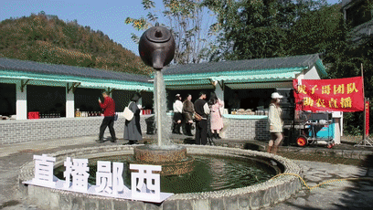 日销350万   “湖北淘宝第一村”电商直播业绩喜人[00-01-05--00-01-13]