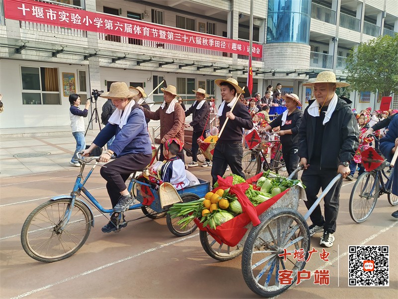 微信图片_20251111180636_7_53