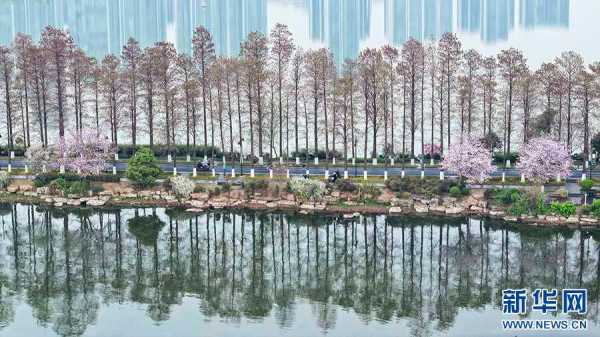 CpAAPmkUXT6AWZiRAAF82tVwG2c089