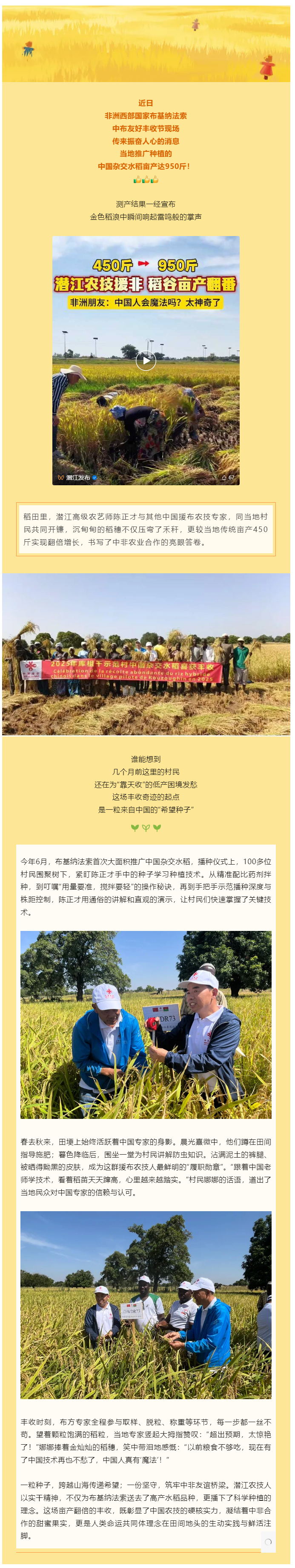 亩产翻倍！潜江人在非洲种出中国“味道”