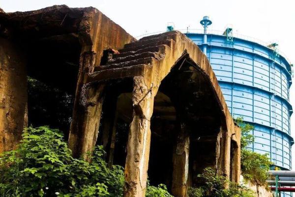 0831303084636809_content