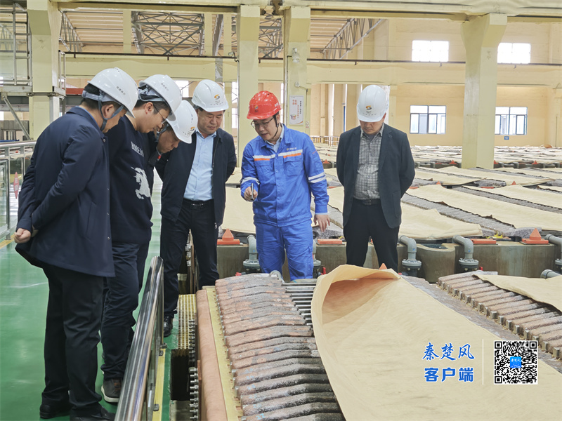 微信图片_20251114100028_356_15