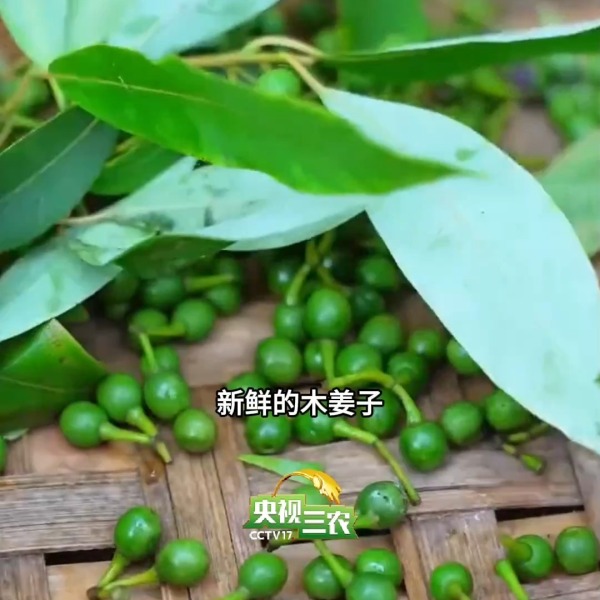 843ca823d8bc4fc7a32fa2f99304f59b