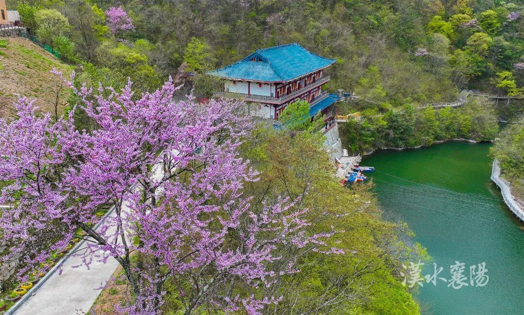 447285c21f947e578e2aac60d81742e3