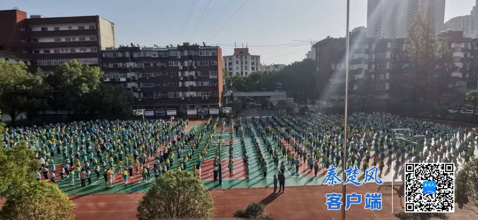 3799a4d2573ff39602b7c7be22d198a