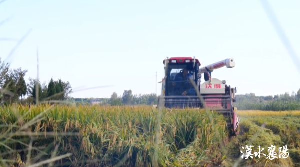 3d018ae9a0b3ea57627a9f12d4b8641f