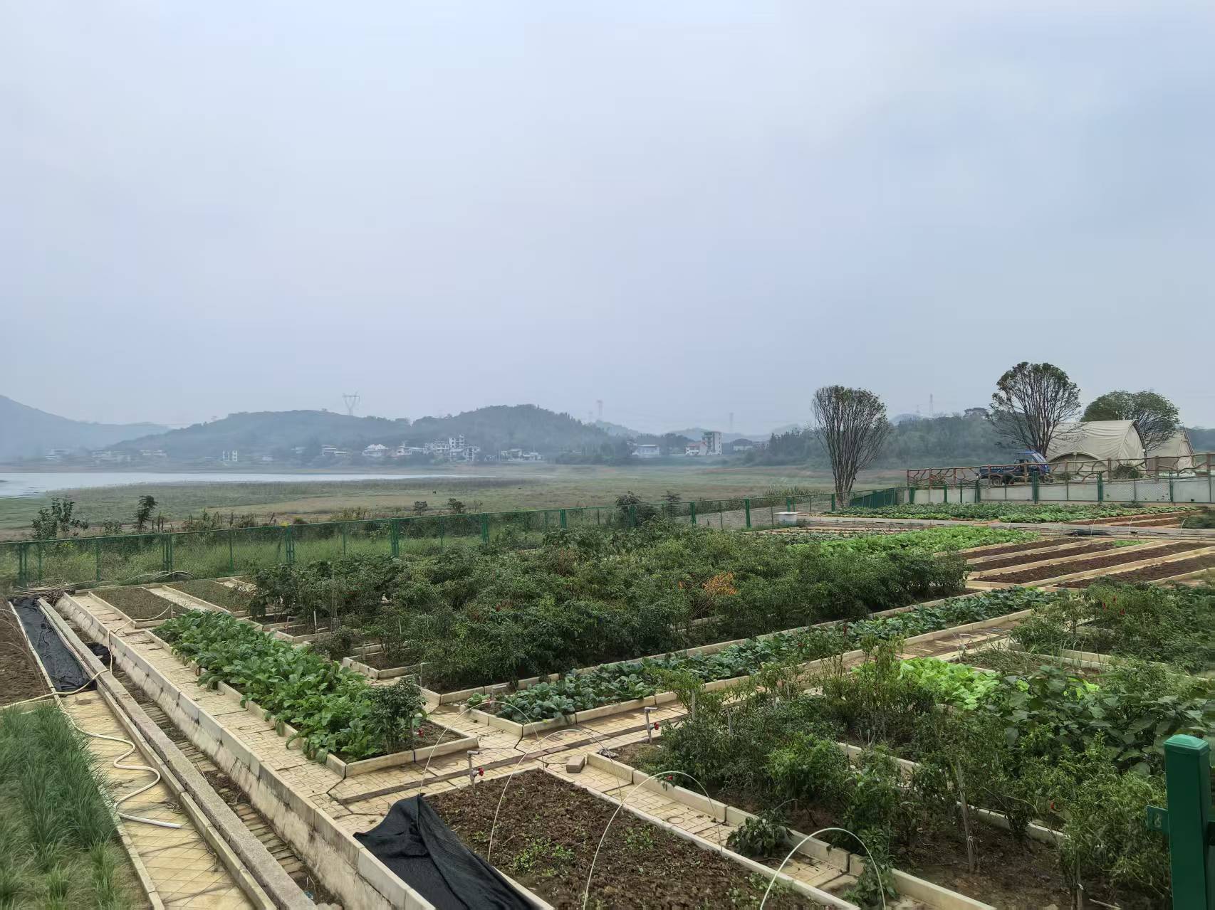 W020251114609093153251