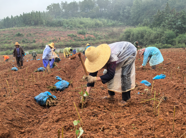 W020251114609092864369