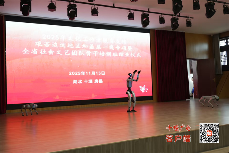 微信图片_20251116082553_353_135