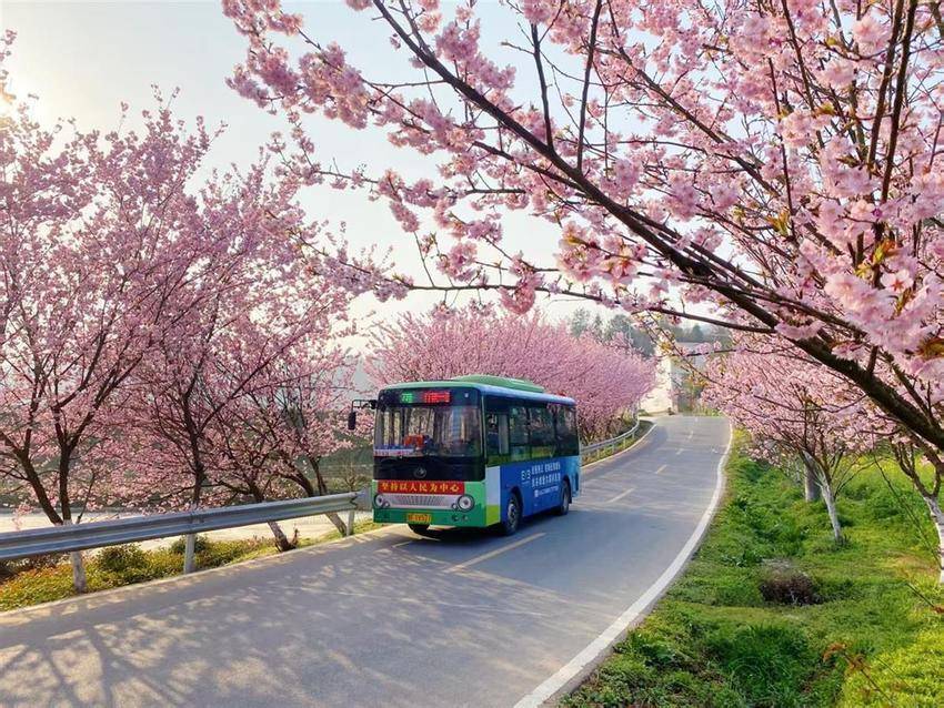 3a389376262e8a1379a83a2308facfbb