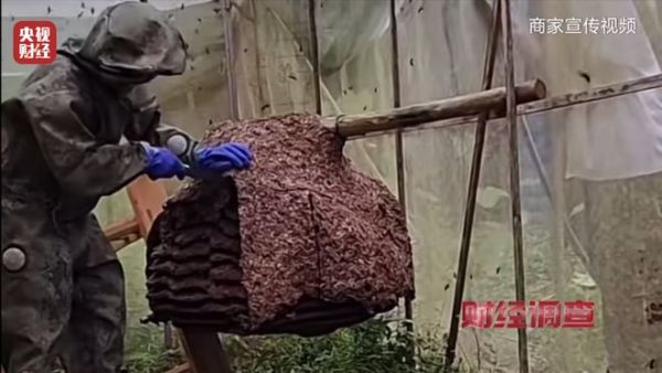 01eede74ee1e44aebc108c0816da92a6