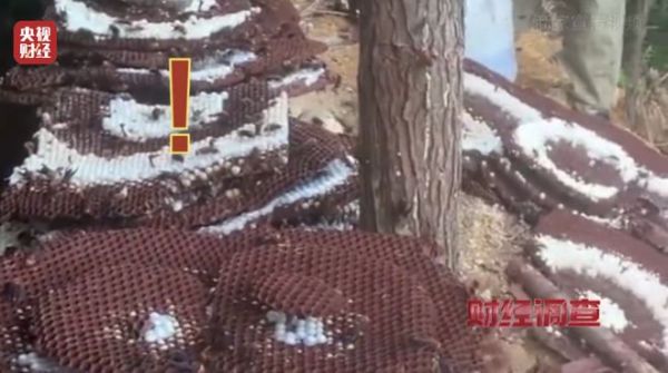 0f2589ffbbd14e218507e2fce8085405