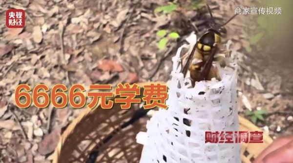 8635992cf5d7423a9a62982f896e58f3