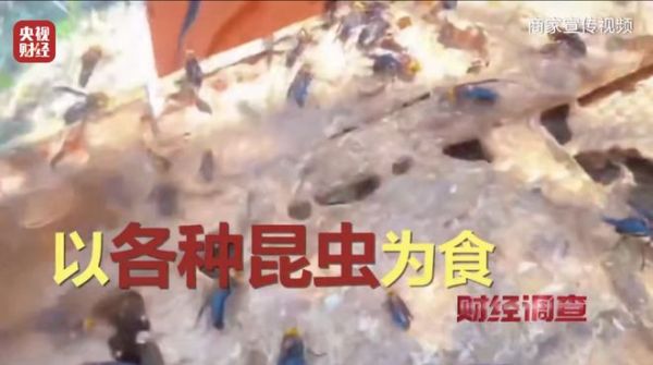 8ce44869ad104a6cba7122e35bc5d5c6