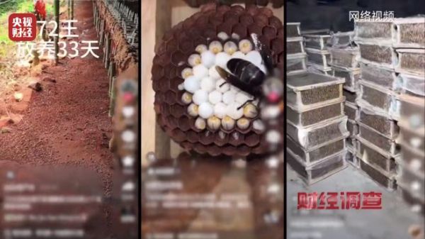 27ff5c21ebe9445e9858e50b28f772eb