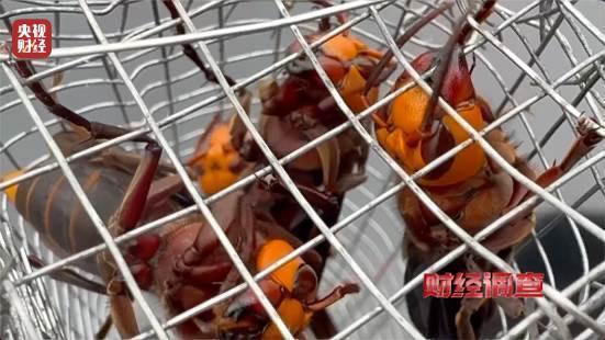 b1a41c8eaa734168a26563cb2e1b58d3