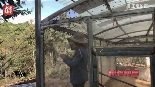 1fded83e9d70411b8296041ebd345de4