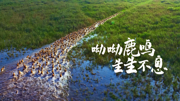 b7c6575592dd159c6dde9762384d820d