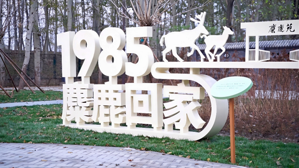 b3ccb99cc30e055a460491cc8344f793