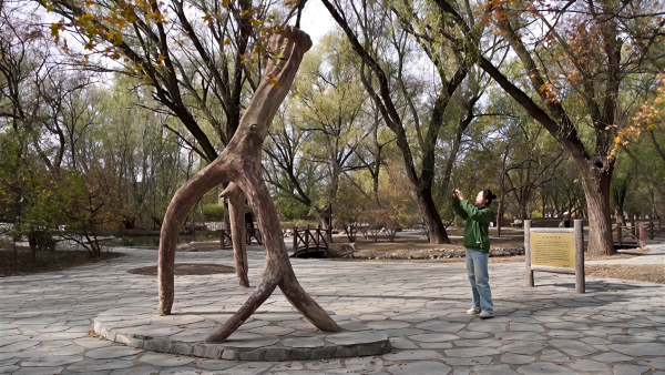 0dd9558c9b63800dfc95e0766e7d8c2b