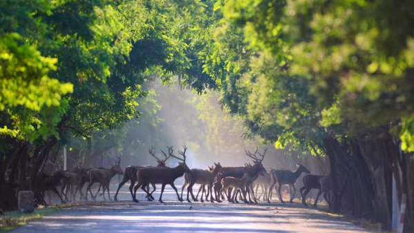 4c57c127e310af9004c87b4d26f0a8d3