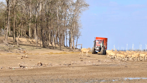 f2a99041b3d02d206952ee2477eef2a9