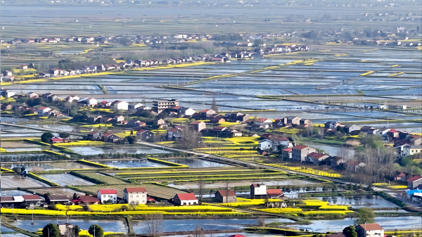 cd8633cf2f602aaa529e6c2d439a60b7