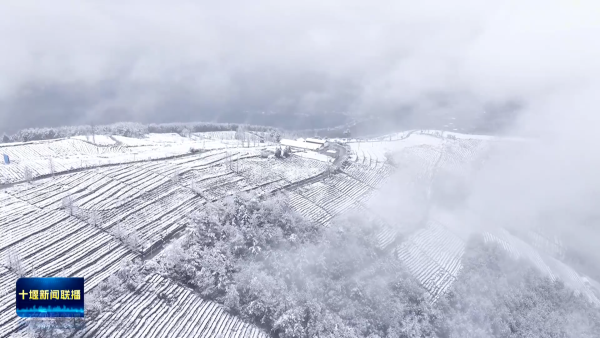 ET36UyUfhweEWeu2OUPdstSTsI6cUywPsCMBePfv756jPsgz7+L9MX3m+u4G9+AAAAAElFTkSuQmCC