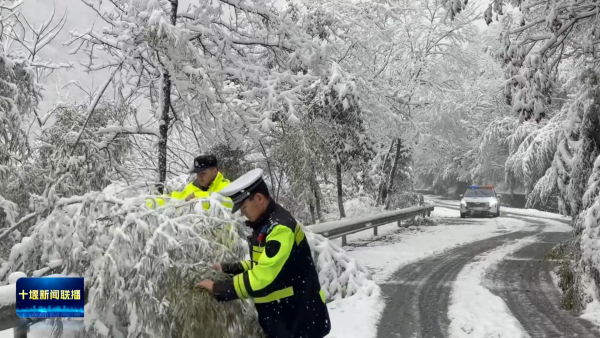 g+VBol7cSLjlAAAAABJRU5ErkJggg==