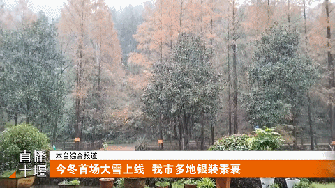 十堰今冬首场大雪上线 武当山 郧西 竹山银装素裹202511171831533