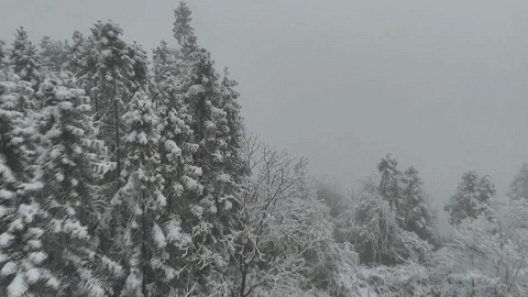 十堰今冬首场大雪上线 武当山 郧西 竹山银装素裹202511171837585