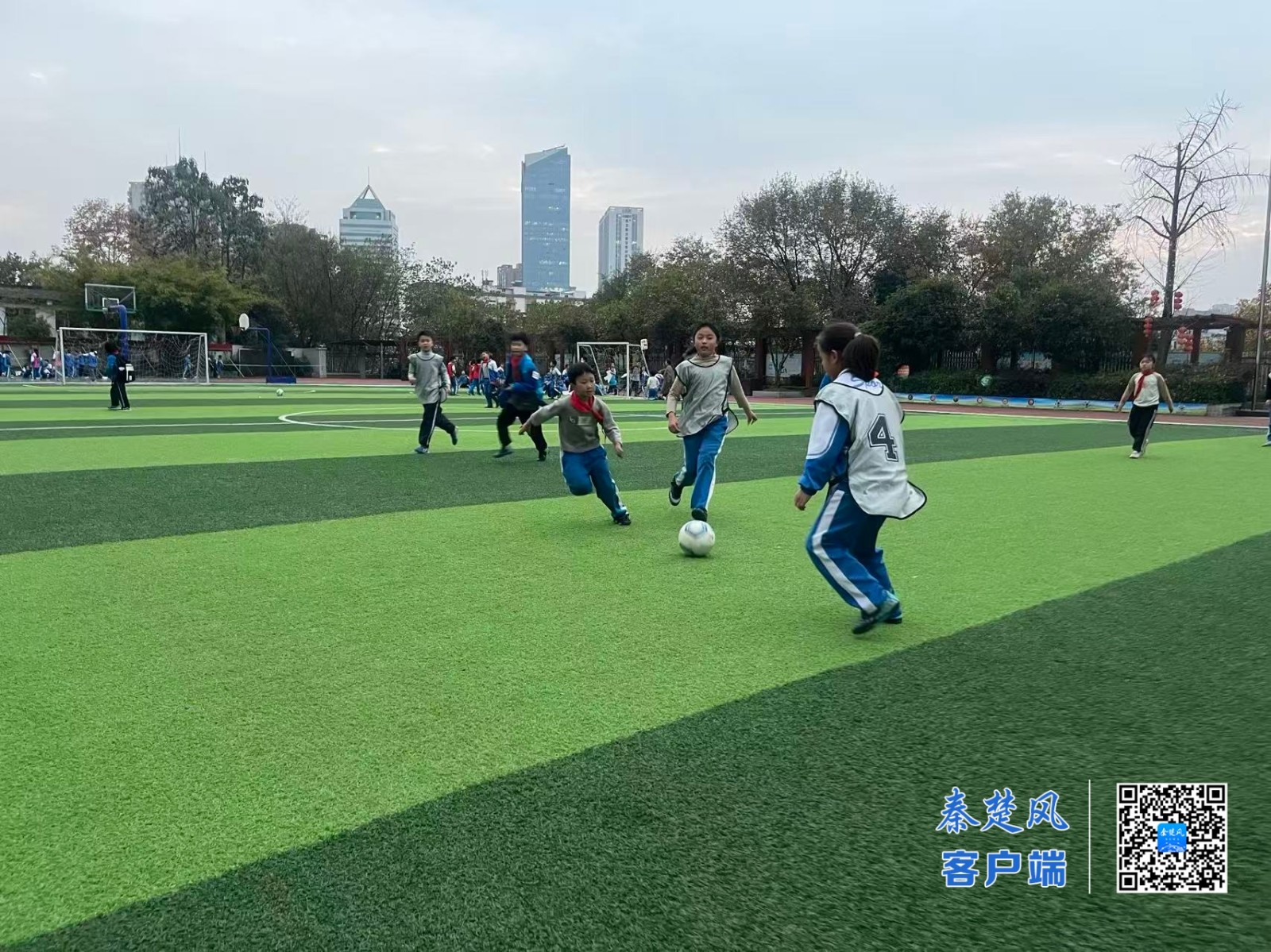 3d4e437ca0ab3e2dd1b1011c9a6af9a5