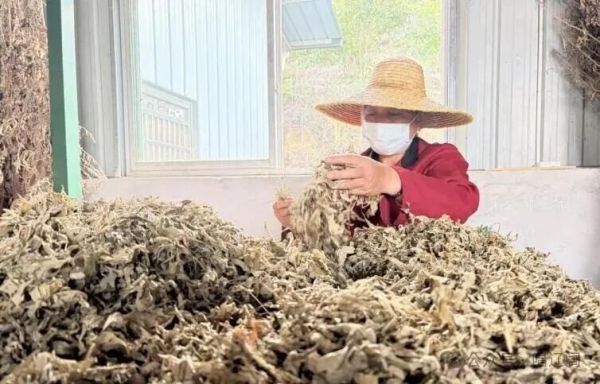 83ec1ebec288d428d6abca8c300e6b45