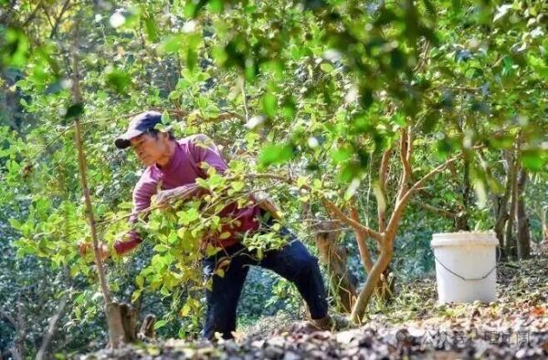 f4cf1f26b04a34851efb0213807d59a9