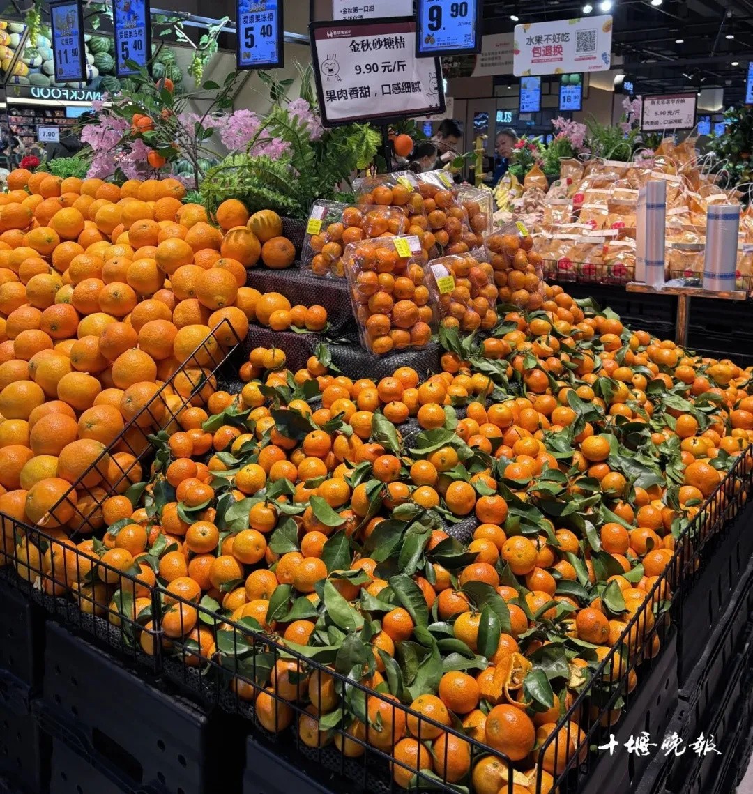 640_wx_fmt=jpeg&tp=webp&wxfrom=5&wx_lazy=1