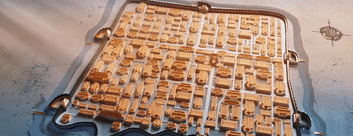 105012025111100007139