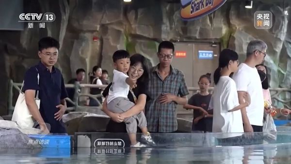 d6fe39858f241823fcfe20996b3bd875