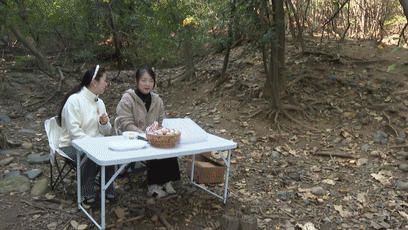 助力农产品出山  “小蜜蜂”飞进田间[00-01-38--00-01-46]