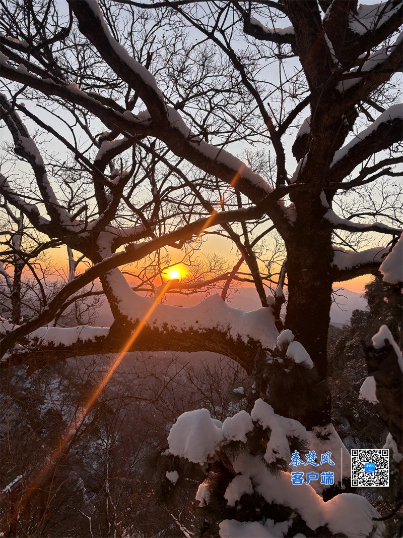 微信图片_20251118181516_2781_121