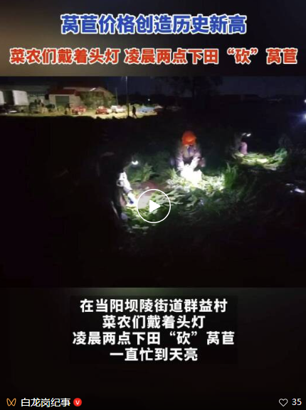 微信图片_2025-11-18_200613_035