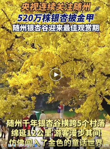 微信图片_2025-11-18_200931_082