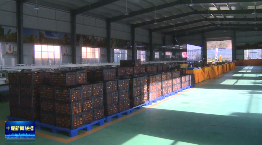 微信图片_2025-11-18_202908_874