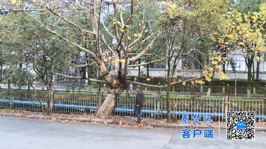 微信图片_2025-11-19_190949_856