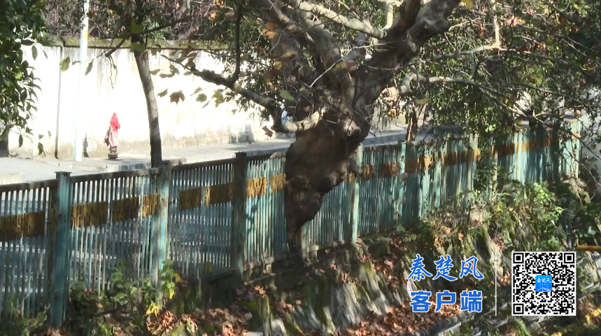 微信图片_2025-11-19_190704_864