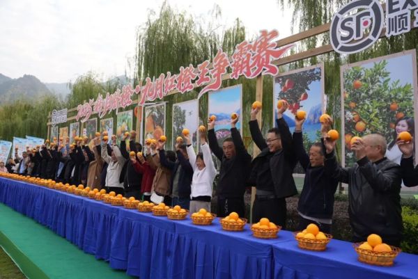 e9d0ac19-513e-4b45-a46f-24c0298dd9cc_l