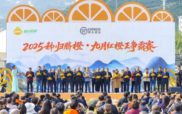 97c91b02-350c-4f5f-96e8-d46098627660_l